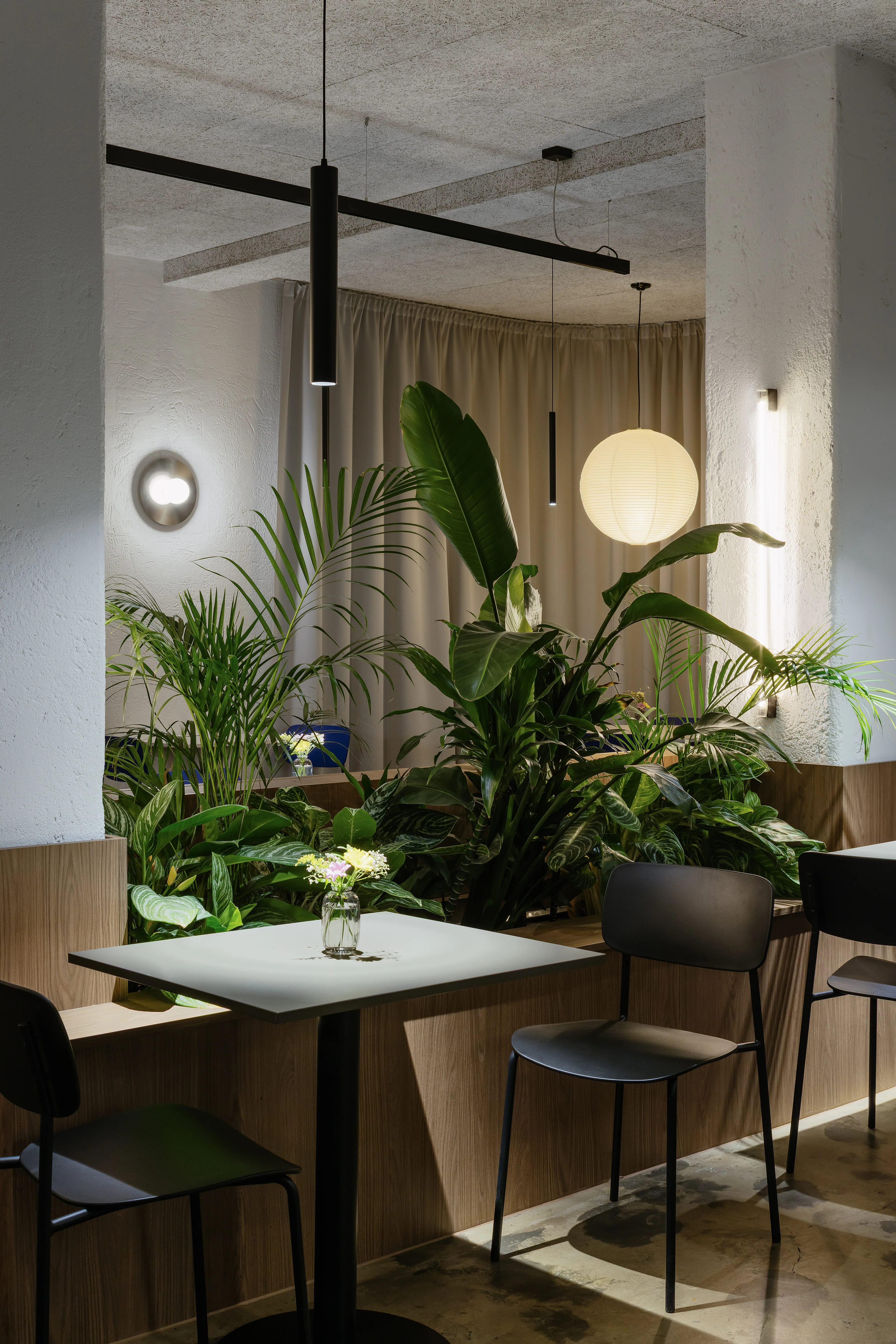 Bistro Savour — vizualizace 5