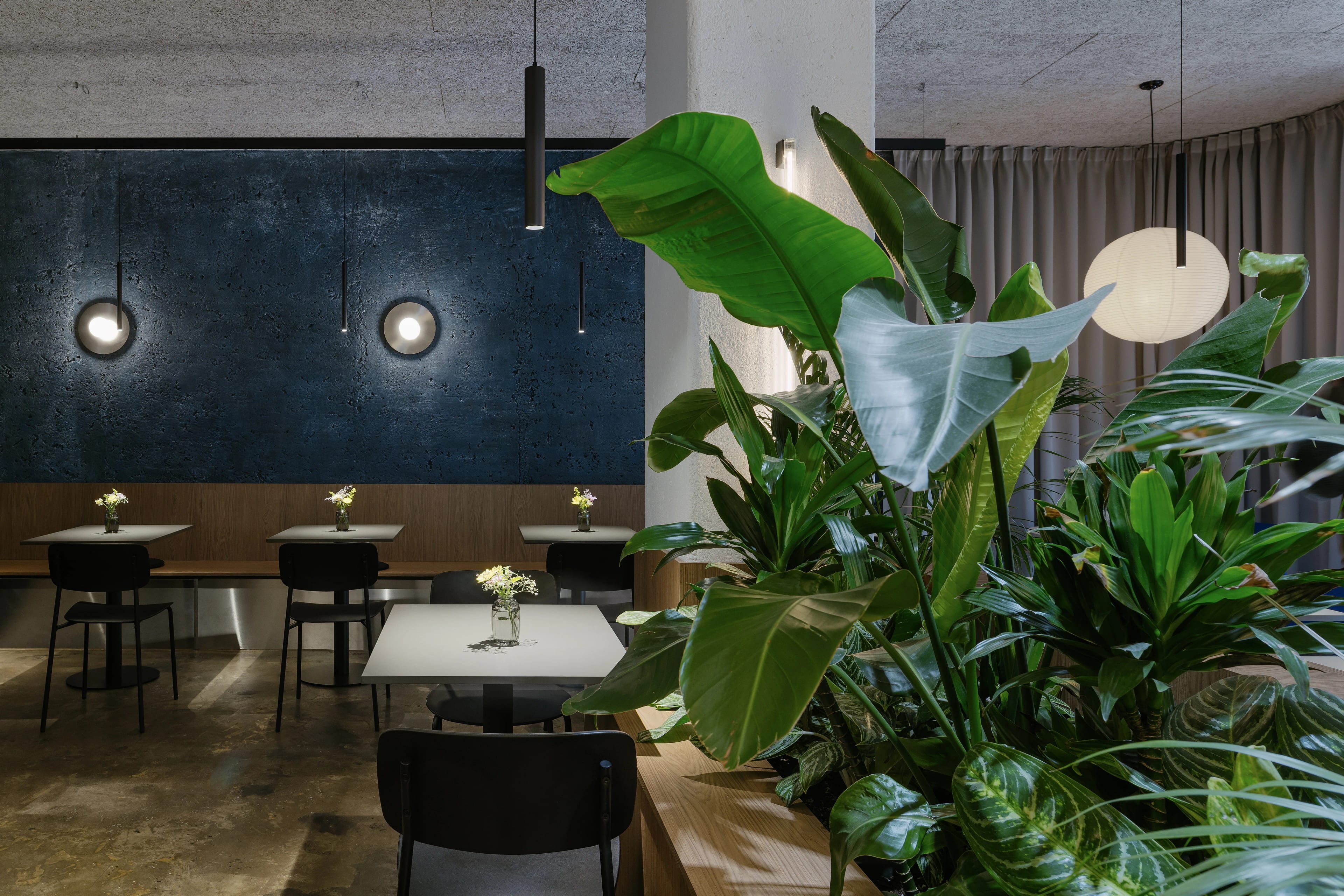 Bistro Savour — vizualizace 6